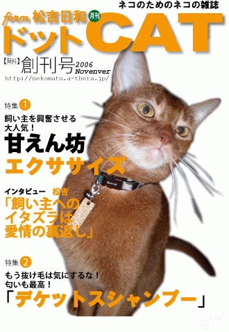 Illustrator…15年？